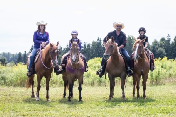 Emerald Isle Carriage Tours