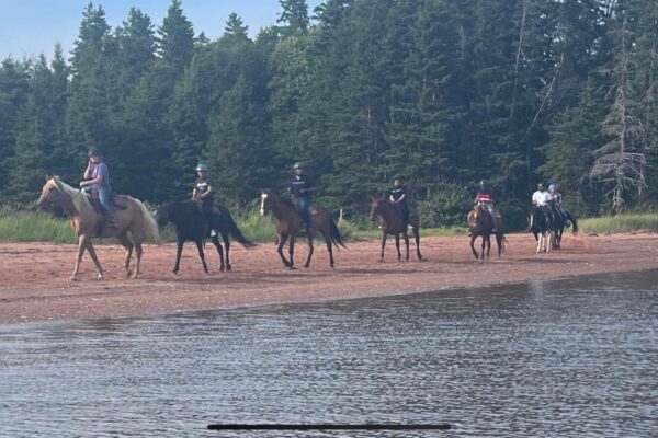 Emerald Isle Carriage Tours