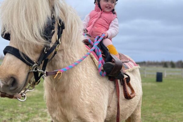 Emerald Isle Carriage Tours