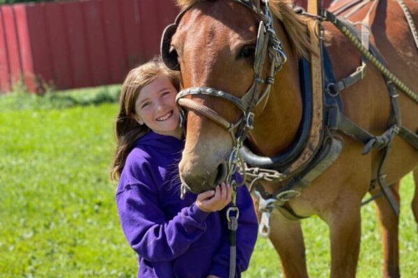 Emerald Isle Carriage Tours