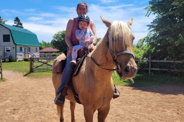 Emerald Isle Carriage Tours