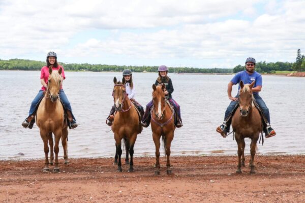 Emerald Isle Carriage Tours