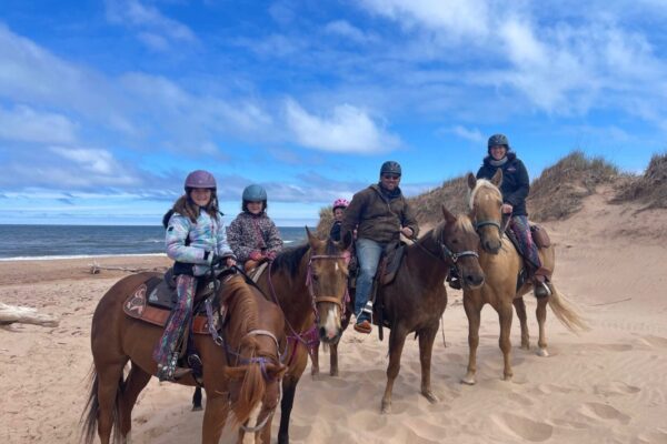 Emerald Isle Carriage Tours