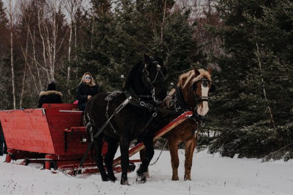 Emerald Isle Carriage Tours
