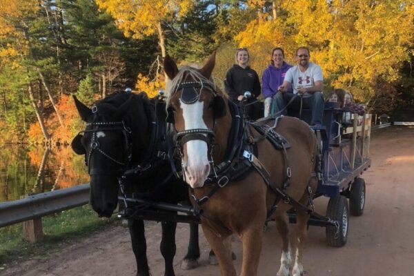 Emerald Isle Carriage Tours