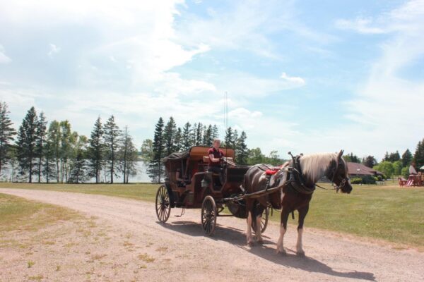 Emerald Isle Carriage Tours